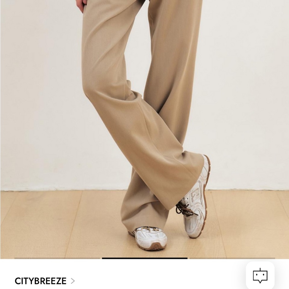 Wrinkle Free Basic Straight Slacks - Beige Never … - image 2